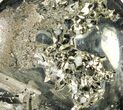 Polished Pyrite Skull With Pyritohedral Crystals #96334-2